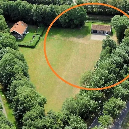 Sluizeweidje Texel * דה בורג